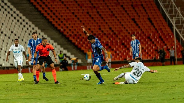 What Are the Most Unique Pet Trends Emerging in the UK?