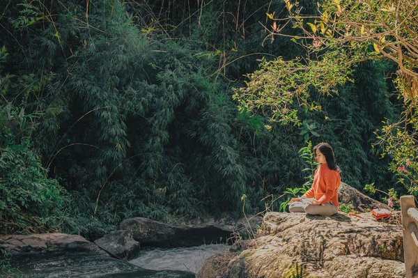 Explore transformative yoga retreats for every journey